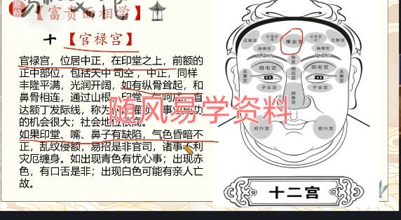 易柏《富贵面相学》22集视频