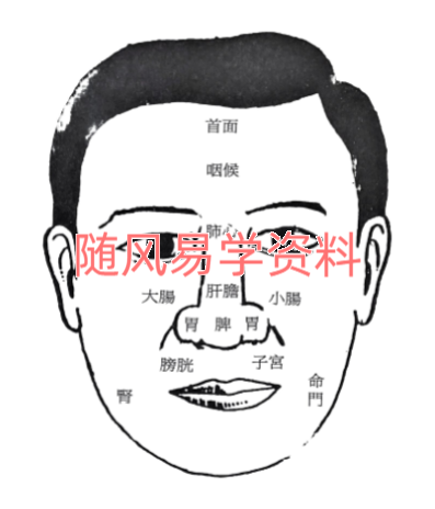 曾梁超   医学面相215页