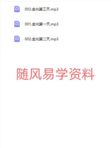 刘罗盛   金光内练录音3集