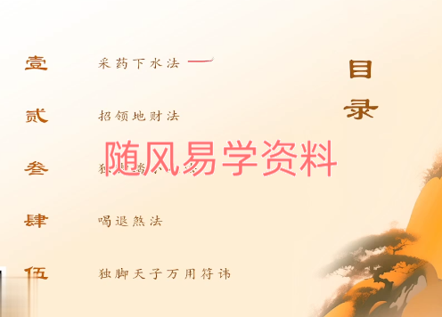 松韵道人   独脚天子百用五法视频一集