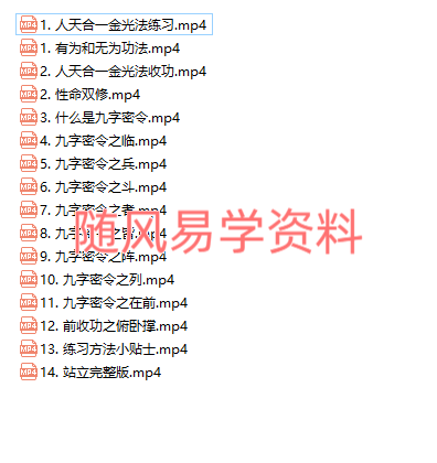 梁守瑜   天人合一大金光法及九字密令16集视频（原版无水印）