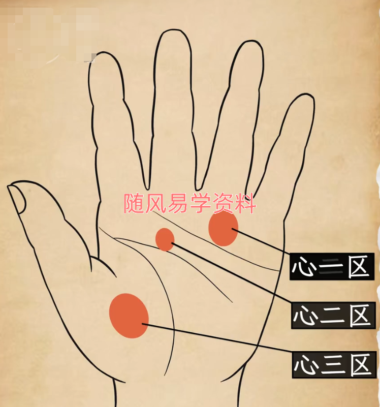 黄凯晟    掌纹的秘密视频20集