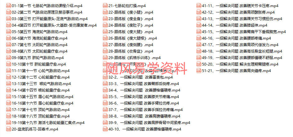 如是禅说    七脉轮气脉启动51集视频
