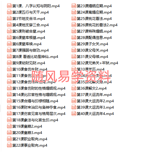 玄源  盲派八字一期+二期