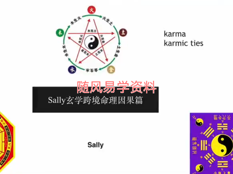 Sally   玄学跨境命理中英文课程视频13集